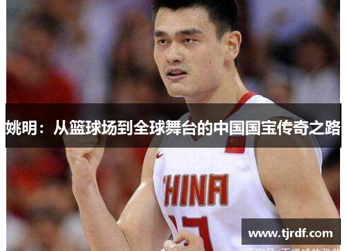 姚明：从篮球场到全球舞台的中国国宝传奇之路