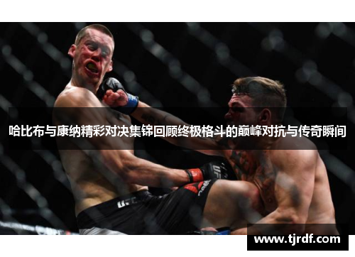 哈比布与康纳精彩对决集锦回顾终极格斗的巅峰对抗与传奇瞬间
