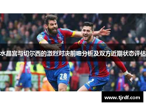 水晶宫与切尔西的激烈对决前瞻分析及双方近期状态评估